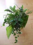 Green Bouquet.JPG (1705001 bytes)