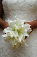 Lily Bouquet Bride.jpg (40192 bytes)