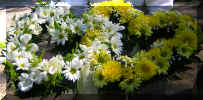 Double Heart Spray of Alstromeria and Chrysanthemums