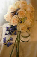 Hand-Tied Bouquet of White Roses with Baby Blue Hydrangea and Delphinium